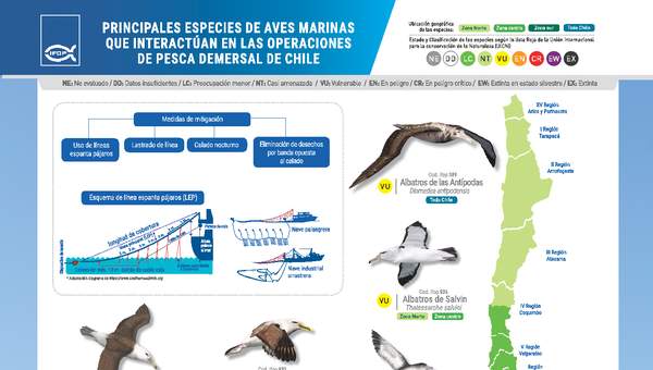 Principales especies de aves marinas que interactúan en las operaciones de pesca demersal de Chile.