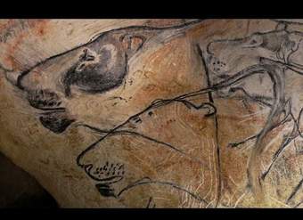 What can Stone Age art tell us about extinct animals?