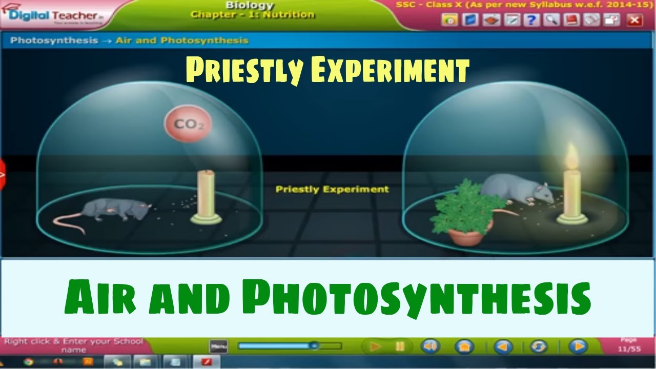 Air and Photosynthesis - Nutrition, Class 10 Biology | SSC