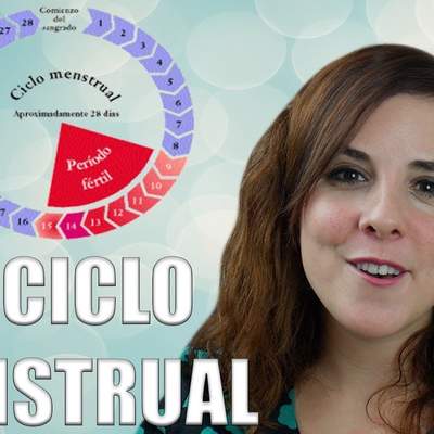 EL CICLO MENSTRUAL:  fases del ciclo, ovulación y menstruación