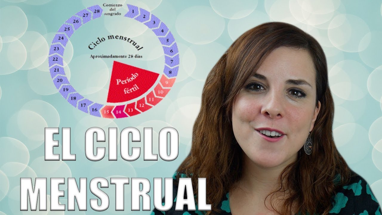 EL CICLO MENSTRUAL:  fases del ciclo, ovulación y menstruación