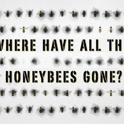 The case of the vanishing honeybees - Emma Bryce