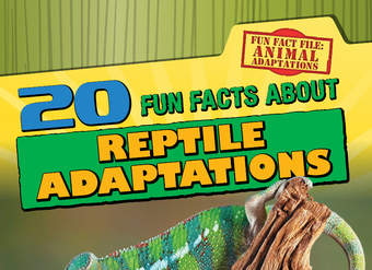 20 Fun Facts About Reptile Adaptations