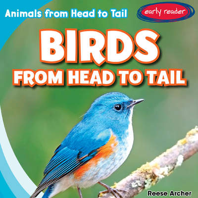 Birds from Head to Tail