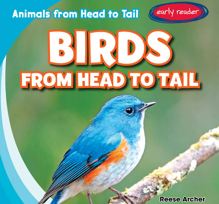 Birds from Head to Tail