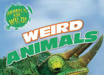 Weird Animals