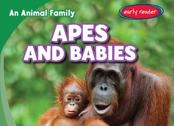 Apes and Babies