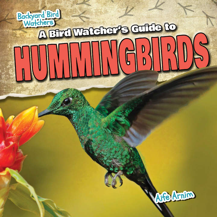 A Bird Watcher's Guide to Hummingbirds
