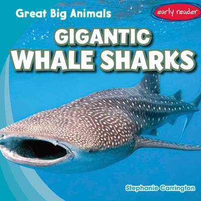 Gigantic Whale Sharks