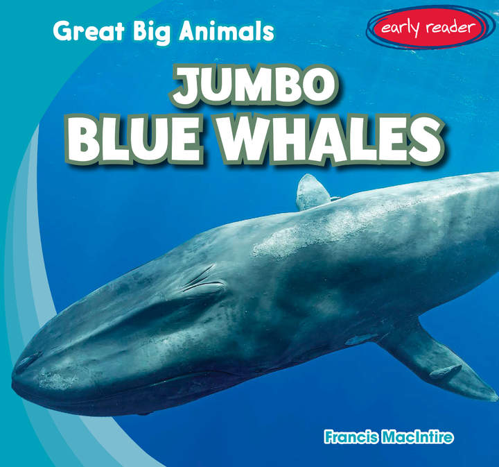 Jumbo Blue Whales