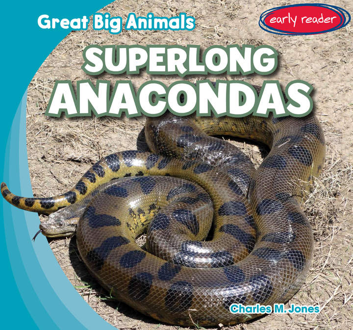 Superlong Anacondas