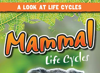 Mammal Life Cycles