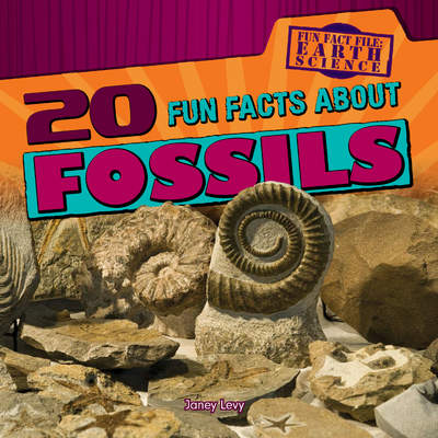20 Fun Facts About Fossils