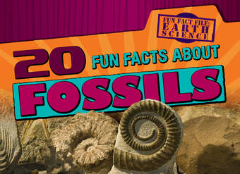 20 Fun Facts About Fossils