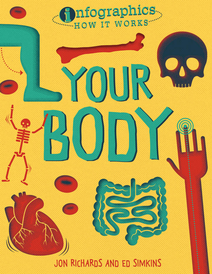 Your Body