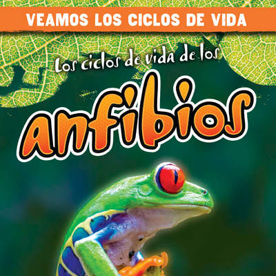 Los ciclos de vida de los anfibios (Amphibian Life Cycles)