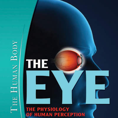 The Eye: The Physiology of Human Perception