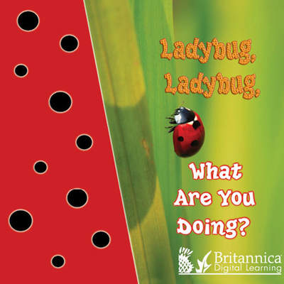 Ladybug, Ladybug, What Are You Doing?