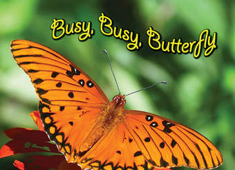 Busy, Busy, Butterfly