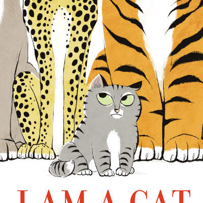 I AM a cat