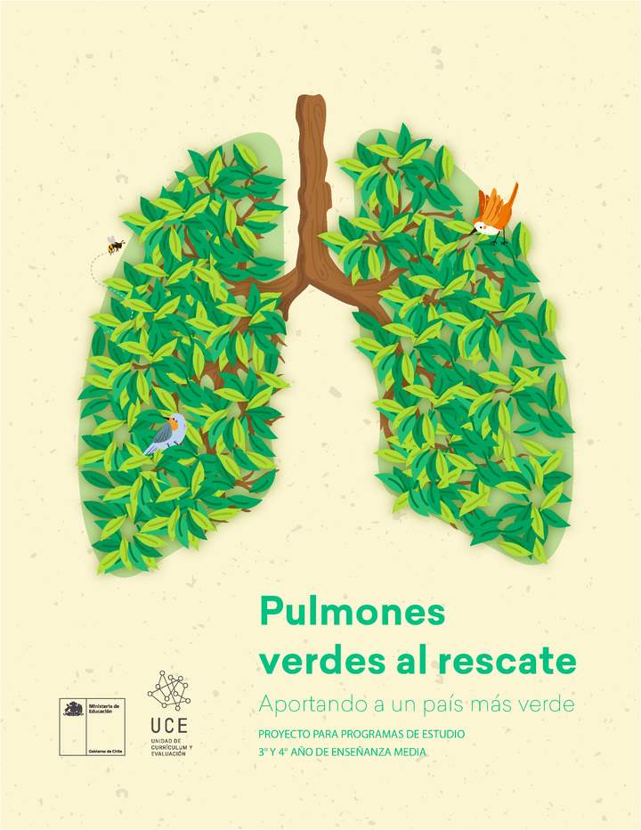Pulmones verdes al rescate: Aportando a un país más verde