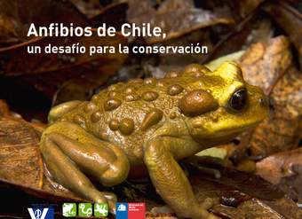 Anfibios de Chile, un desafío para la conservación