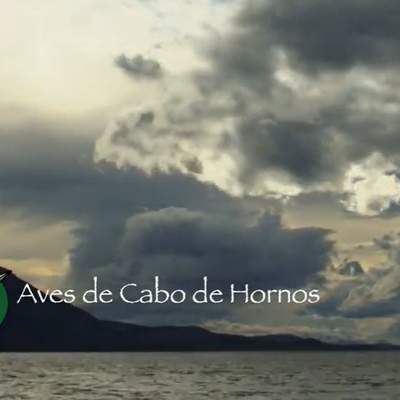Cabo de Hornos: Cultura y naturaleza, aves