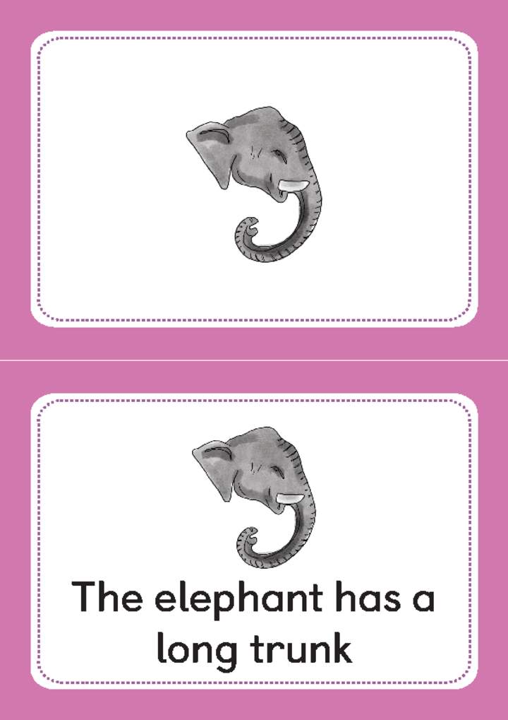 The elephant has a long trunk