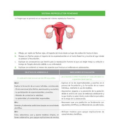 Evaluación Programas - CN07 OA02 - U4 - SISTEMA REPRODUCTOR FEMENINO
