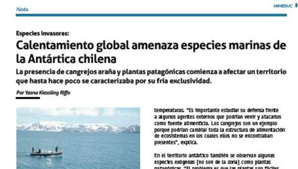 Calentamiento global amenaza especies marinas de la Antártica chilena