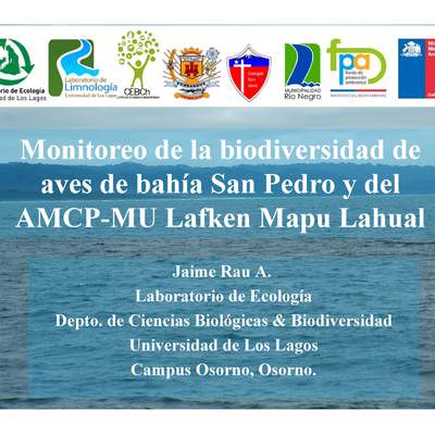 Presentación aves bahía San Pedro y AMCP-MU Lafken Mapu Lahual