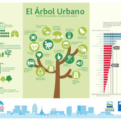 Infografía el árbol urbano