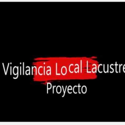Video vigilancia local lacustre Villarrica
