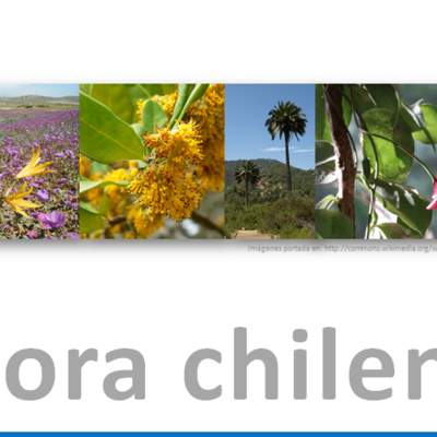Flora chilena