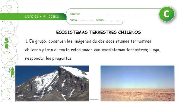 Ecosistemas chilenos