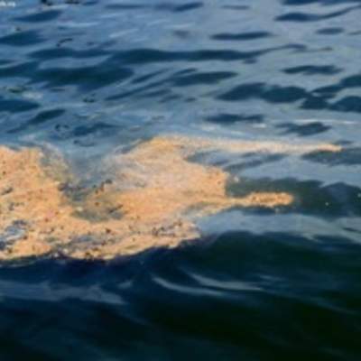 Contaminación aguas petróleo