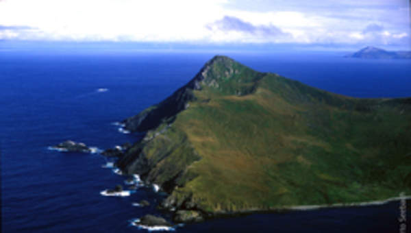 Cabo de Hornos