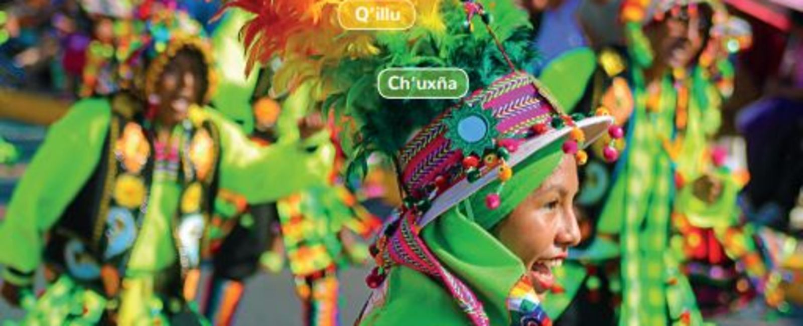 Nuevos programas de Lengua y Cultura de los Pueblos Originarios Ancestrales para 3° básico