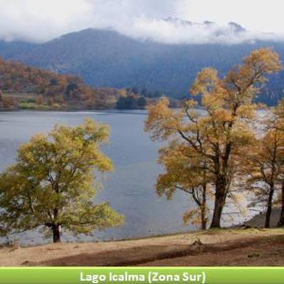 Lago Icalma, Zona Sur
