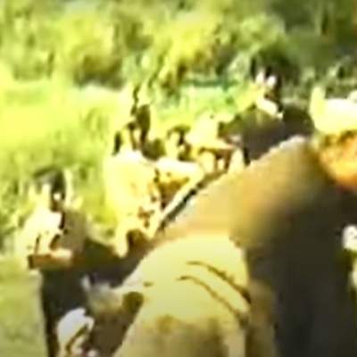 Video de Actividad sugerida: LC02 - Mapuche - U2 - N°6: PRACTICAN UNA DANZA MAPUCHE PROPIA DE SU TERRITORIO