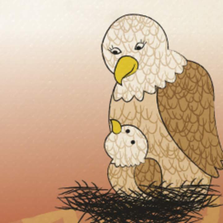 Letra g: El nido de águila