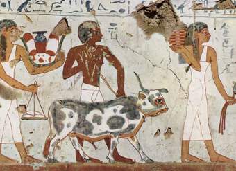 Pintura en la cámara funeraria de Amenemht