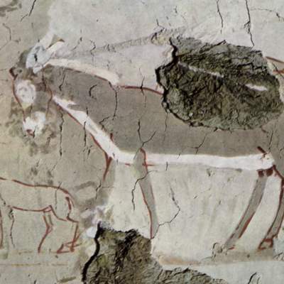 Imagen de burros en mural egipcio