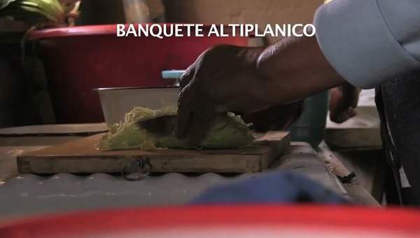 Banquete altiplánico