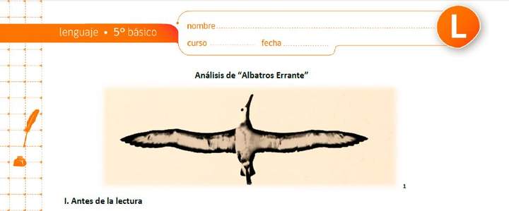 Análisis de Albatros Errante