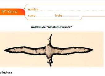 Análisis de Albatros Errante