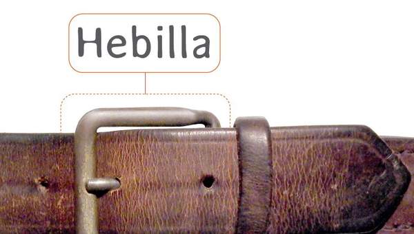 Afiche de vocabulario: hebilla