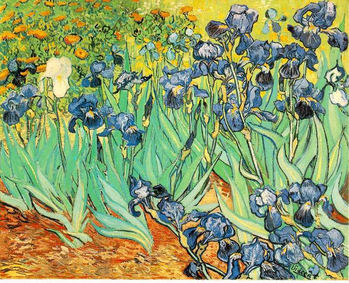 Lirios de Vincent Van Gogh