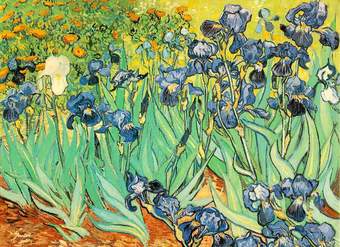 Lirios de Vincent Van Gogh
