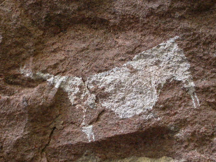 Pintura rupestre Cerro Castillo, Patagonia